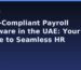 WPS-Compliant Payroll Software in the UAE: Your Guide to Seamless HR